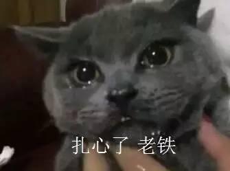 喵酱娱乐吃瓜,揭秘娱乐圈最新吃瓜大事件