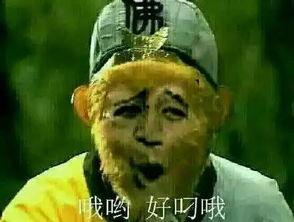 孙悟空吃瓜表情包是什么意思啊
